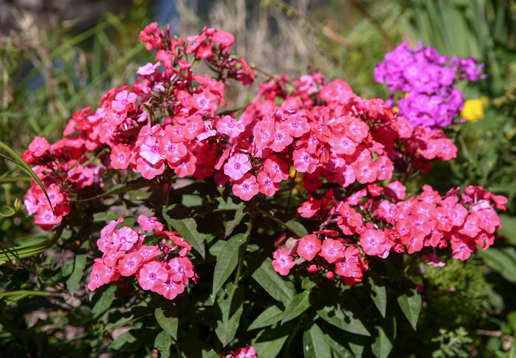 East Park Gardens (10).jpg